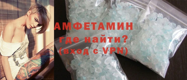 индика Гусев