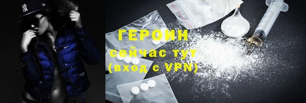 индика Гусев