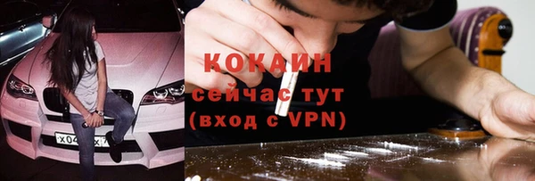 индика Гусев