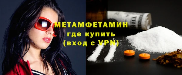 индика Гусев