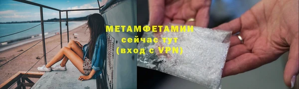 индика Гусев