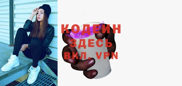 индика Гусев