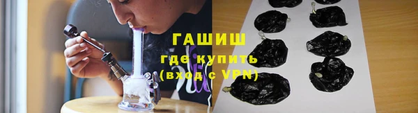 индика Гусев