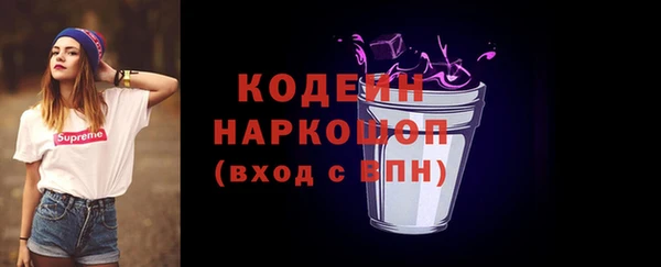 индика Гусев