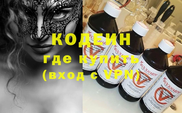 индика Гусев