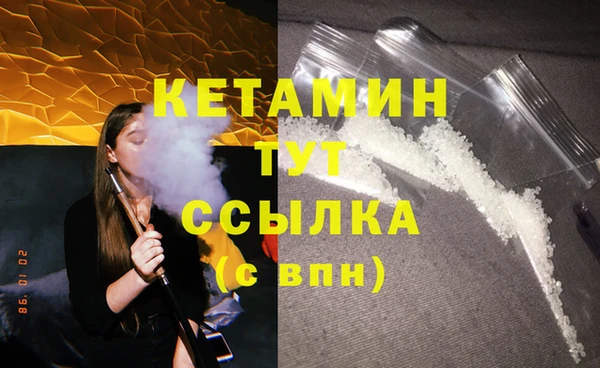 индика Гусев