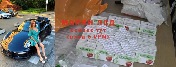 индика Гусев