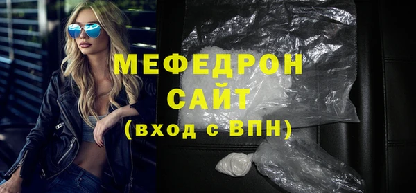 индика Гусев