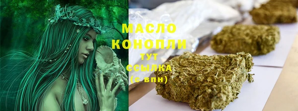 индика Гусев