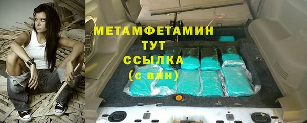 индика Гусев