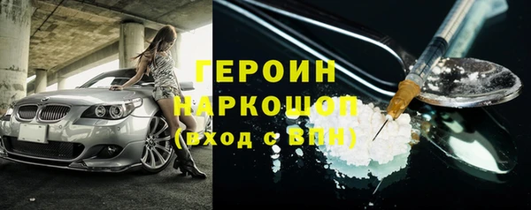 индика Гусев