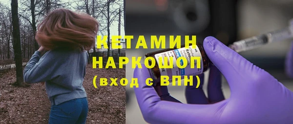 индика Гусев